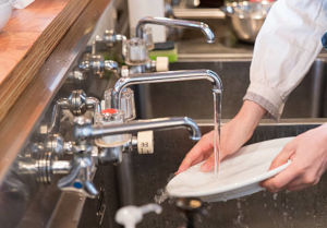 Catering Sinks