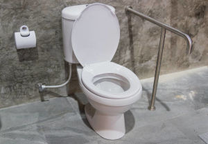 Toilets Seats